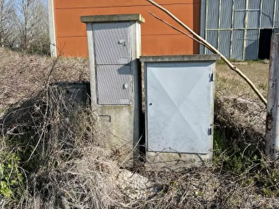 Immagine 4 di Capannone industriale in vendita  in Via Banzi Cento  a Budrio