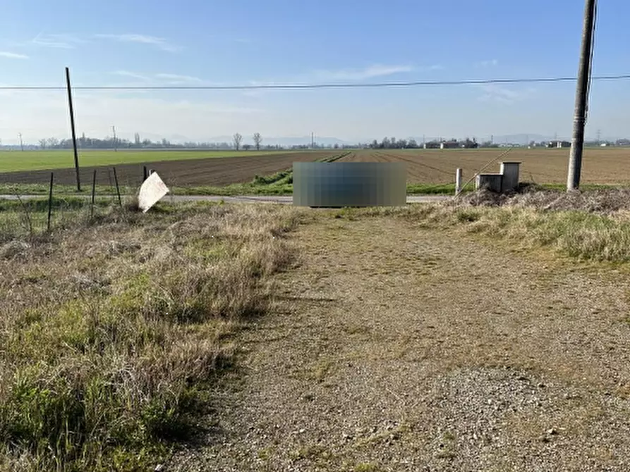 Immagine 5 di Capannone industriale in vendita  in Via Banzi Cento  a Budrio