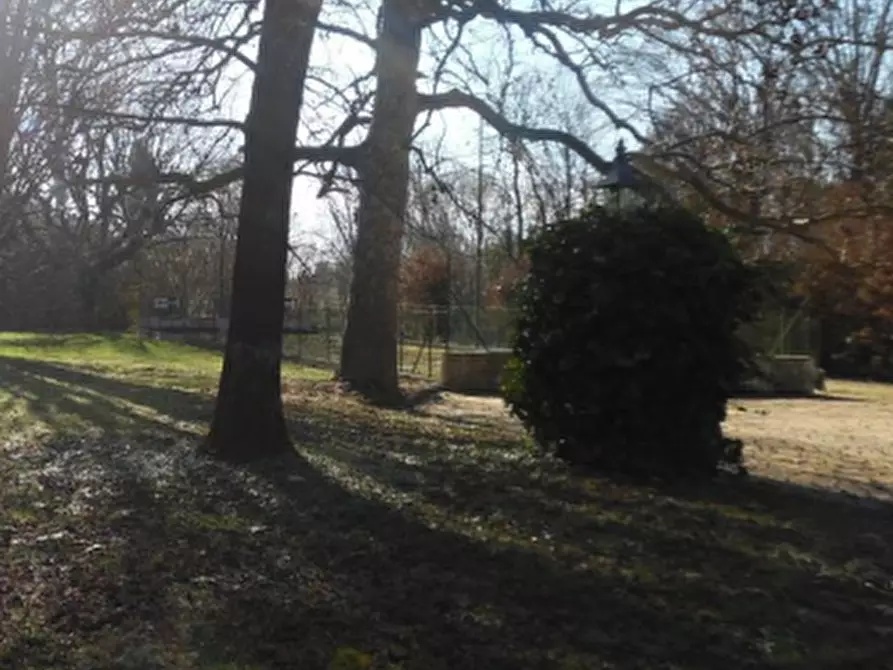 Immagine 7 di Negozio in vendita  in Via Sentinis a Varmo