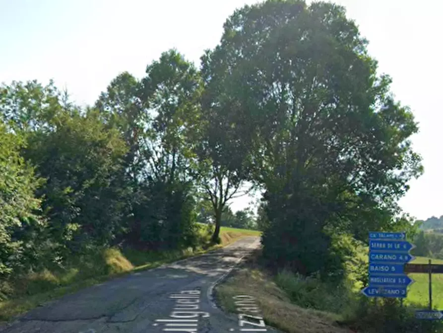 Immagine 4 di Terreno agricolo in vendita  in Via Guilguella di Levizzano a Baiso