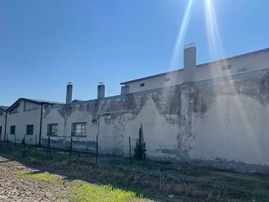 Immagine 2 di Rustico / casale in vendita  in Via Concordia a Cavezzo