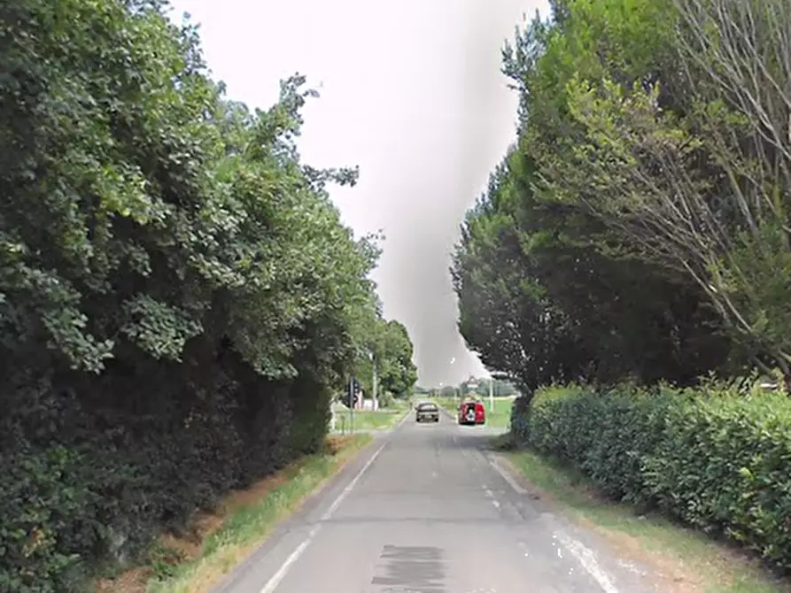 Immagine 7 di Negozio in vendita  in Via Jacopo da Porto Sud a Modena