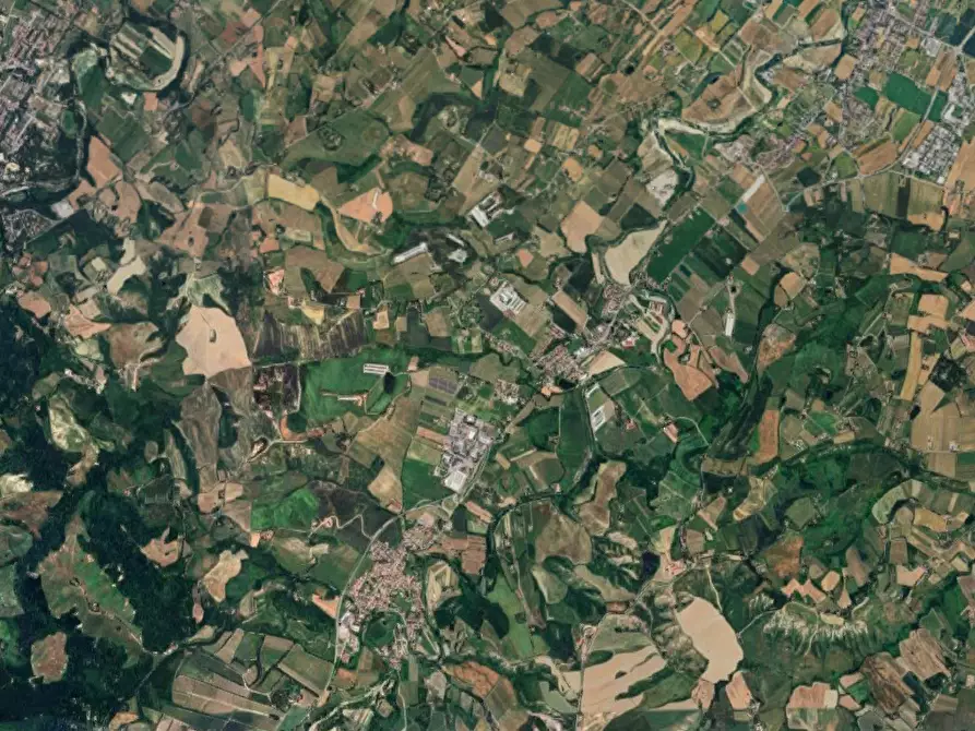 Immagine 4 di Terreno agricolo in vendita  in Loc. San Lorenzo in Noceto a Forli'