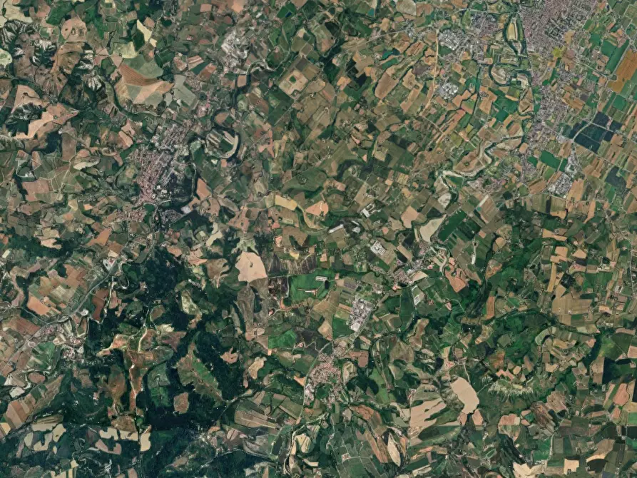 Immagine 5 di Terreno agricolo in vendita  in Loc. San Lorenzo in Noceto a Forli'