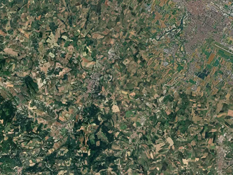 Immagine 6 di Terreno agricolo in vendita  in Loc. San Lorenzo in Noceto a Forli'