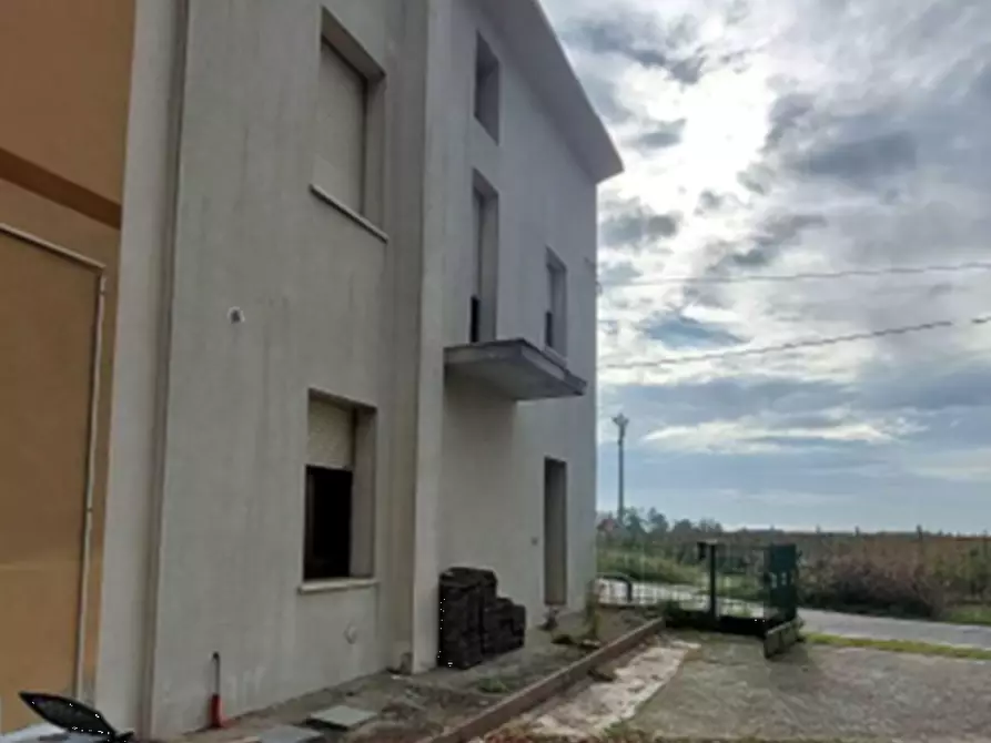 Immagine 4 di Casa indipendente in vendita  in Via Monti a Frassinelle Polesine