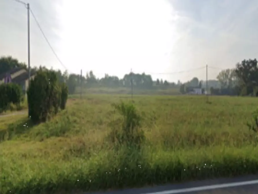 Immagine 4 di Terreno agricolo in vendita  in Via Nazionale a Canaro