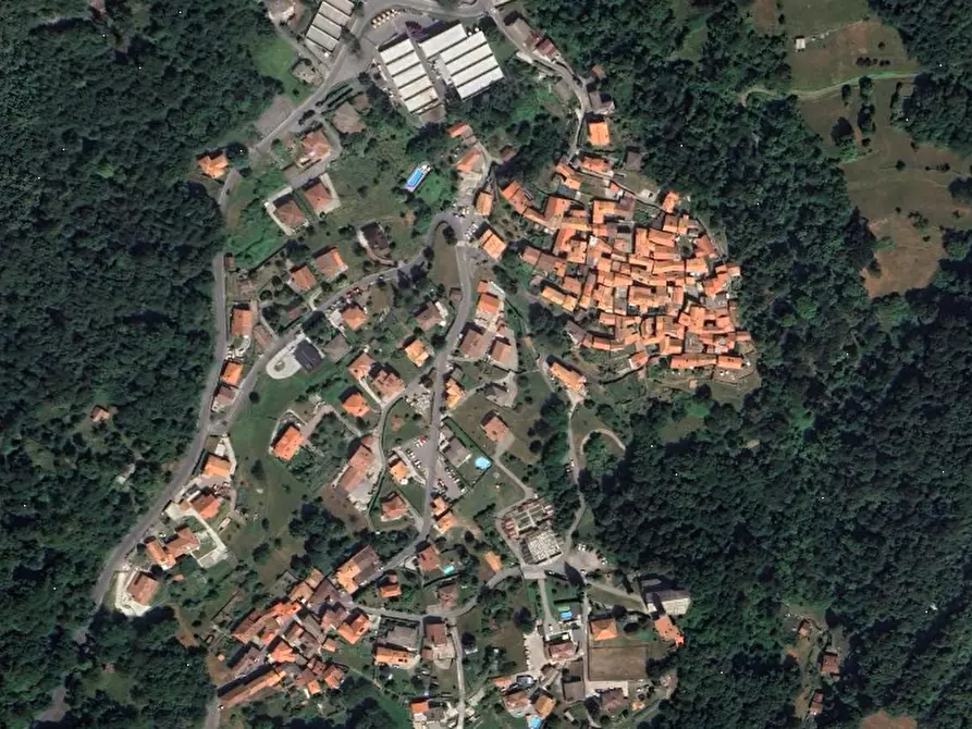 Immagine 4 di Terreno agricolo in vendita  in Località Plesio a Plesio