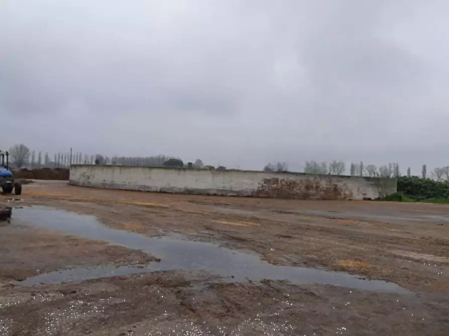 Immagine 6 di Casa indipendente in vendita  in Via Macoda di Sopra  a Ravenna