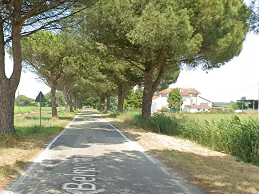 Immagine 16 di Casa indipendente in vendita  in Via Belmonte a Mesola