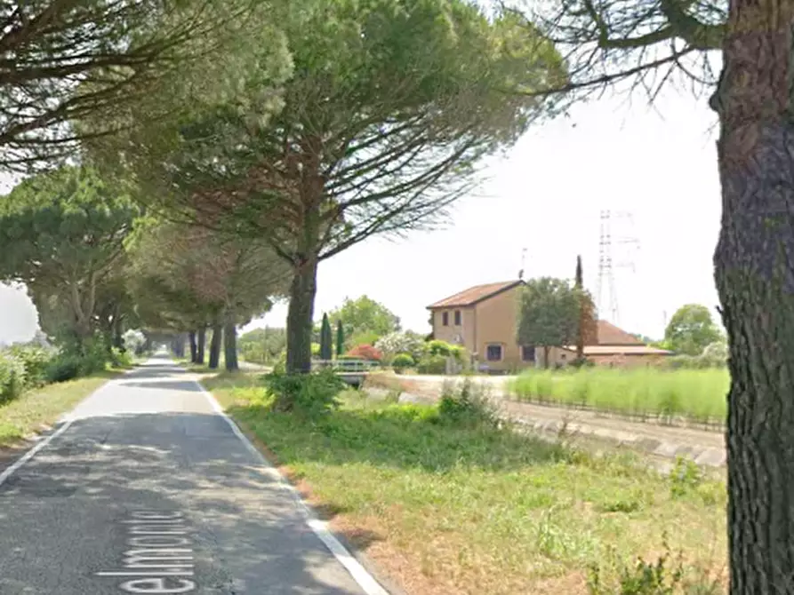 Immagine 17 di Casa indipendente in vendita  in Via Belmonte a Mesola