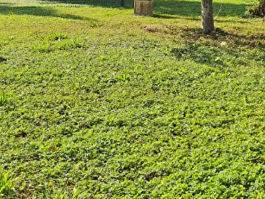 Immagine 2 di Terreno agricolo in vendita  in Via Giuseppe Baroni a Busseto