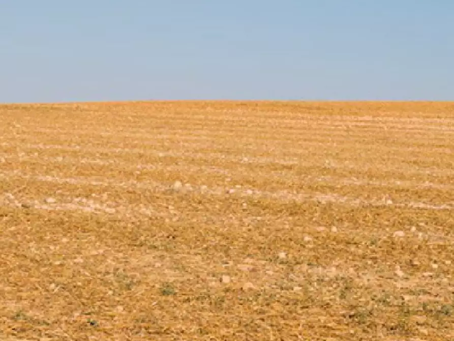 Immagine 15 di Terreno agricolo in vendita  in Via Giuseppe Baroni a Busseto
