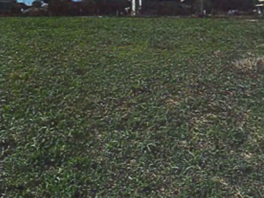 Immagine 10 di Terreno edificabile in vendita  in Via Correggio a Bondeno