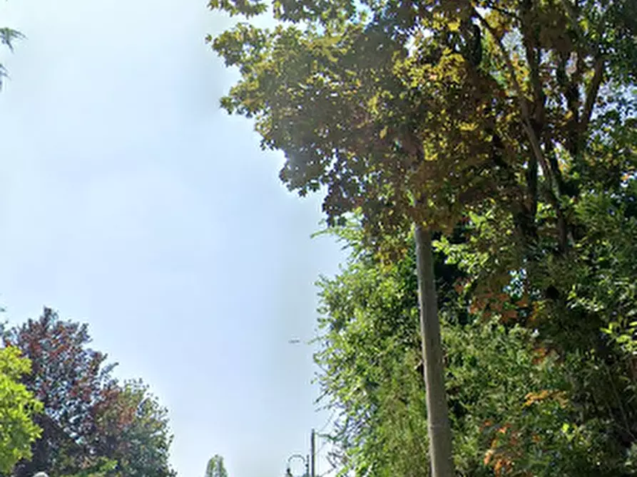 Immagine 3 di Appartamento in vendita  in Via E. Curiel a Rovigo