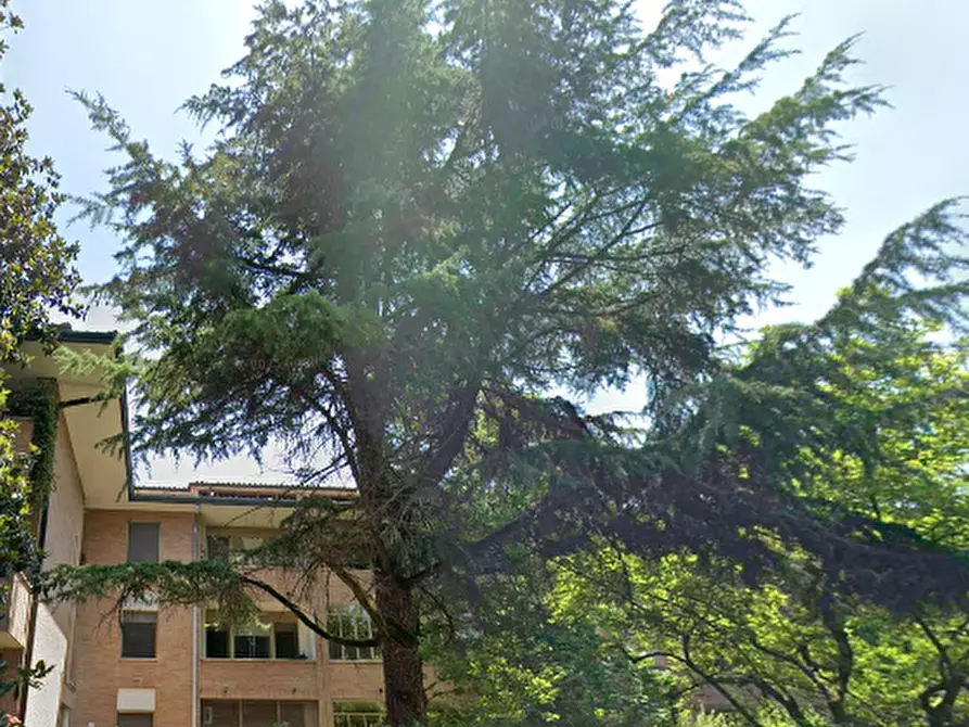 Immagine 18 di Appartamento in vendita  in Via E. Curiel a Rovigo