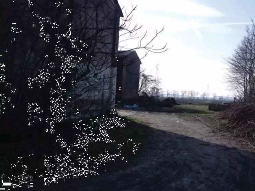 Immagine 5 di Rustico / casale in vendita  in Via Caprioli a Monticelli D'ongina