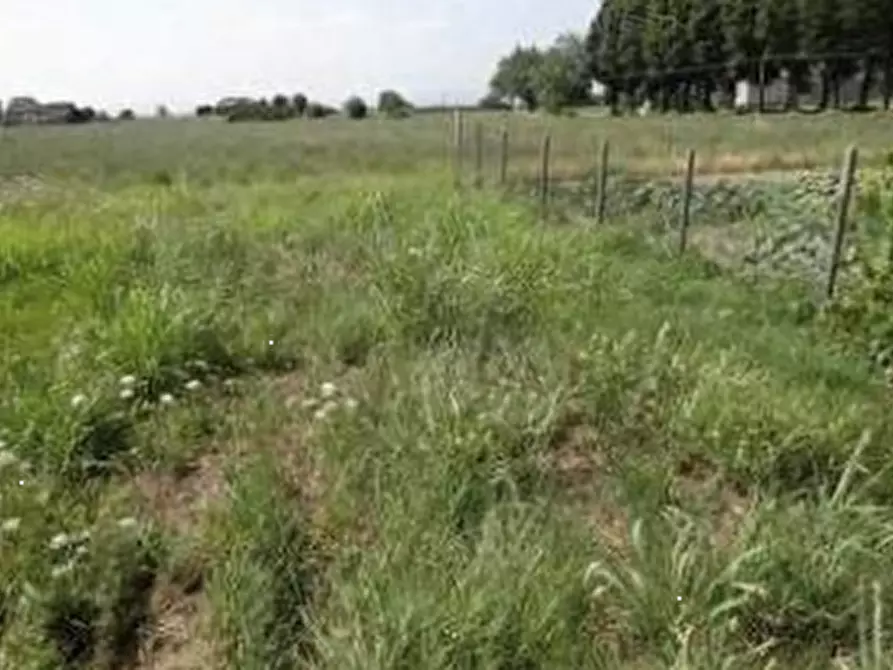 Immagine 7 di Porzione di casa in vendita  in Località Boscone Cusani a Calendasco
