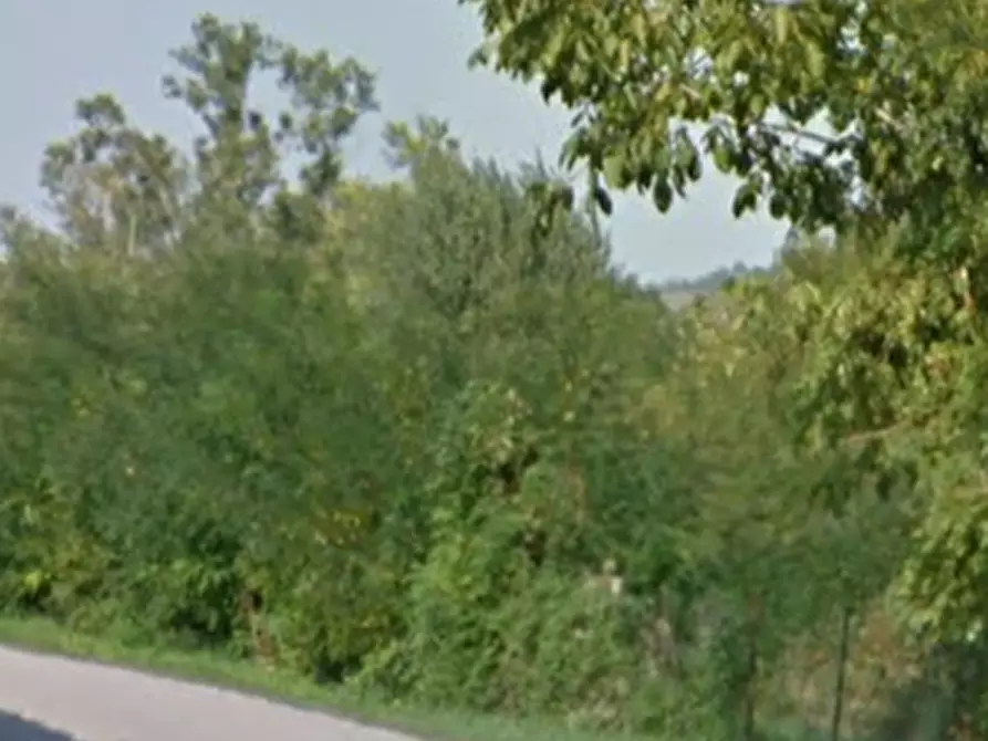 Immagine 10 di Casa indipendente in vendita  in Località Riglio di Padri a Bettola