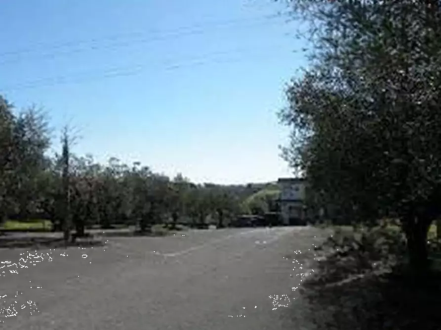 Immagine 3 di Terreno agricolo in vendita  in Via di Santa Fumia a Roma