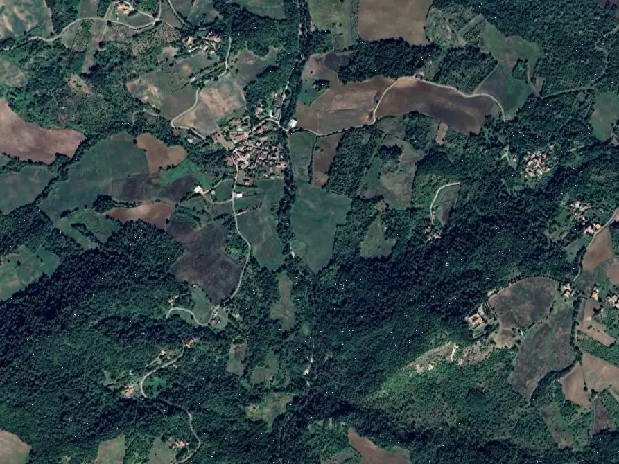 Immagine 19 di Casa indipendente in vendita  in Località Riglio di Padri a Bettola