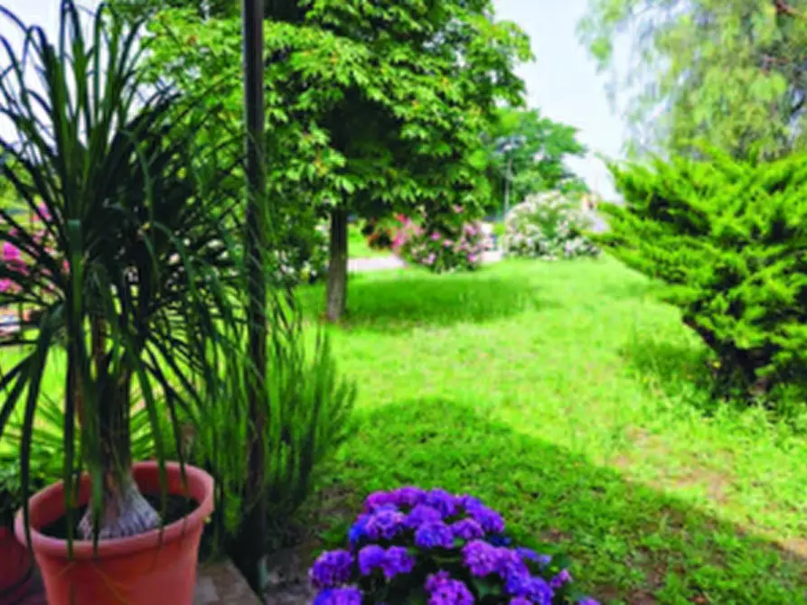 Immagine 6 di Casa bifamiliare in vendita  in Via Montegiove Vecchio a Lanuvio