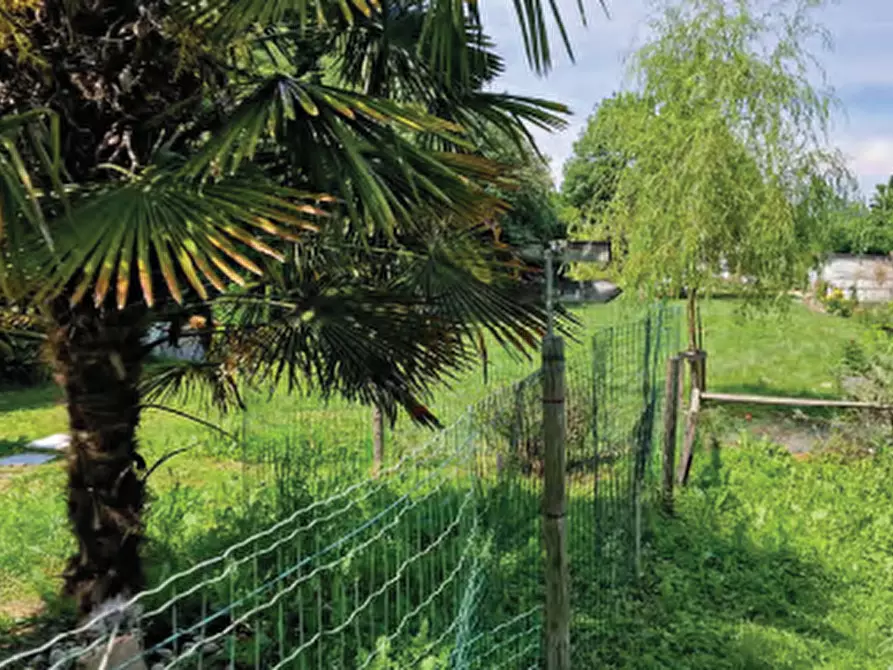 Immagine 7 di Villa in vendita  in Via Trento Trieste a Roncade