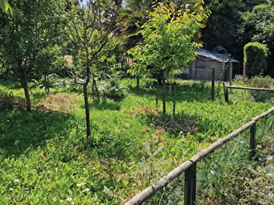 Immagine 9 di Villa in vendita  in Via Trento Trieste a Roncade