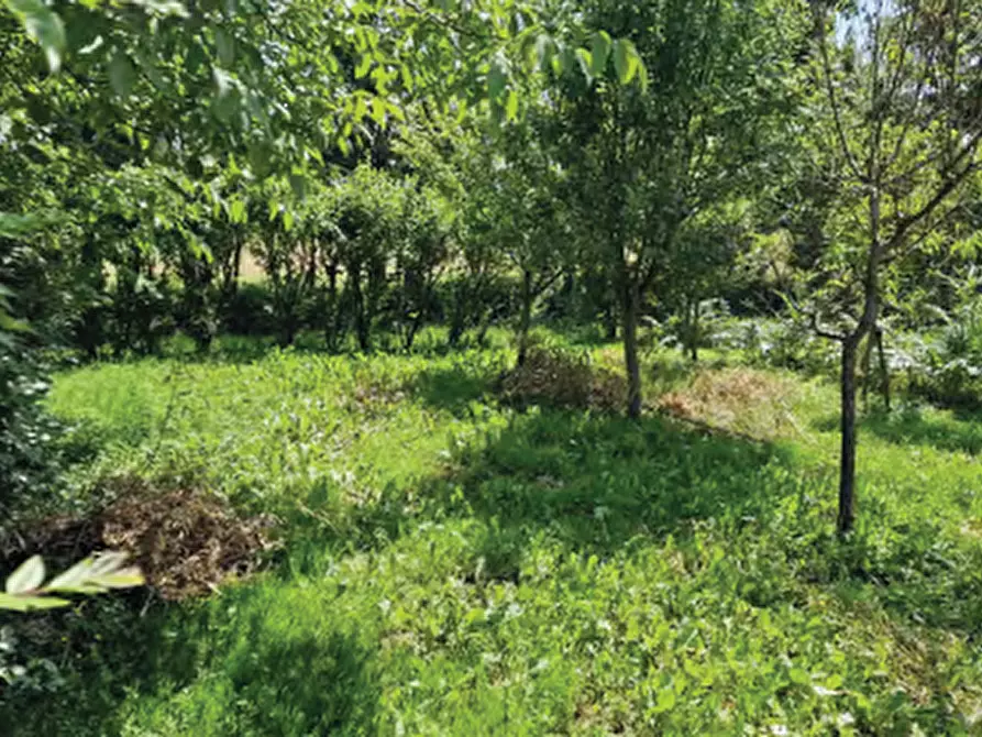 Immagine 10 di Villa in vendita  in Via Trento Trieste a Roncade