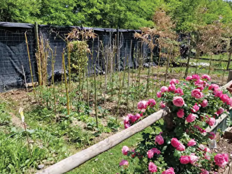 Immagine 14 di Villa in vendita  in Via Trento Trieste a Roncade