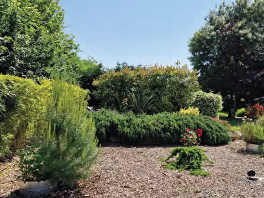 Immagine 17 di Villa in vendita  in Via Trento Trieste a Roncade