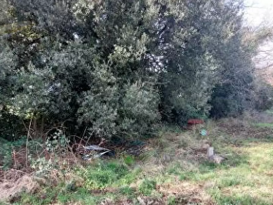 Immagine 2 di Terreno agricolo in vendita  in Largo dell'Olgiata a Roma