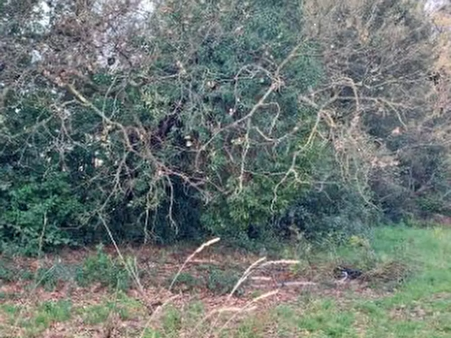 Immagine 1 di Terreno agricolo in vendita  in Largo dell'Olgiata a Roma