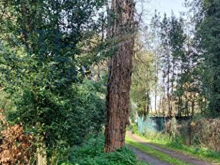 Immagine 9 di Terreno agricolo in vendita  in Largo dell'Olgiata a Roma