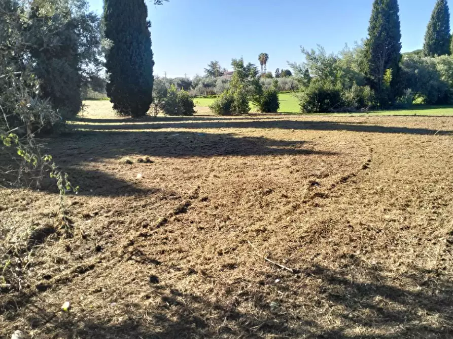 Immagine 1 di Terreno agricolo in vendita  in Via Appia Nuova a Velletri
