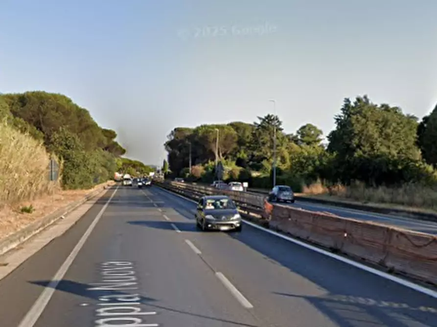 Immagine 5 di Terreno agricolo in vendita  in Via Appia Nuova a Velletri