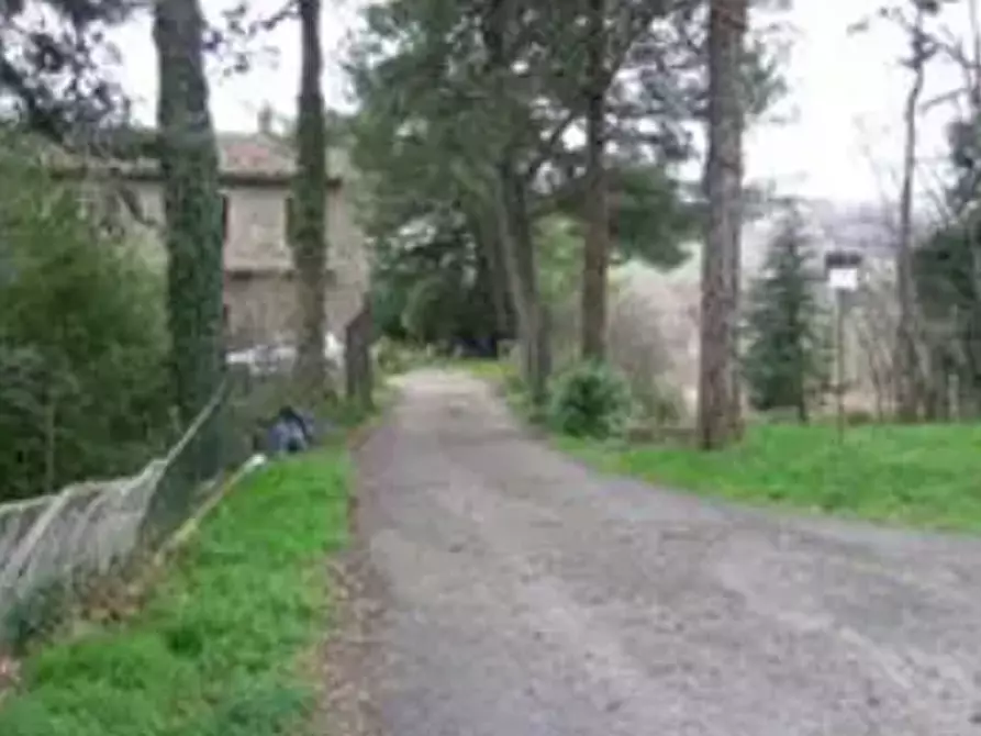 Immagine 3 di Appartamento in vendita  in Via Provinciale a Sassocorvaro Auditore