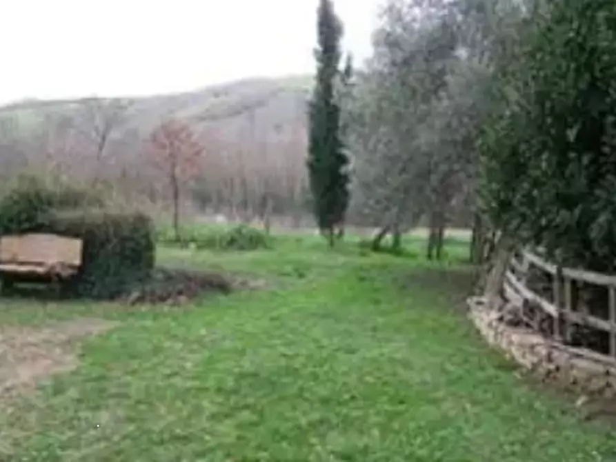 Immagine 4 di Appartamento in vendita  in Via Provinciale a Sassocorvaro Auditore