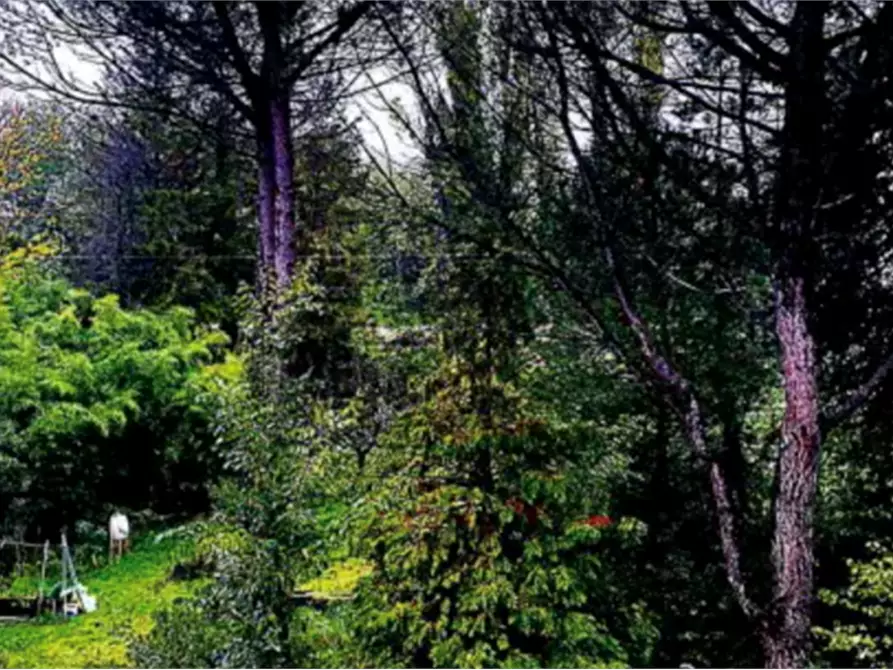 Immagine 3 di Casa indipendente in vendita  in Via Talacchio a Vallefoglia