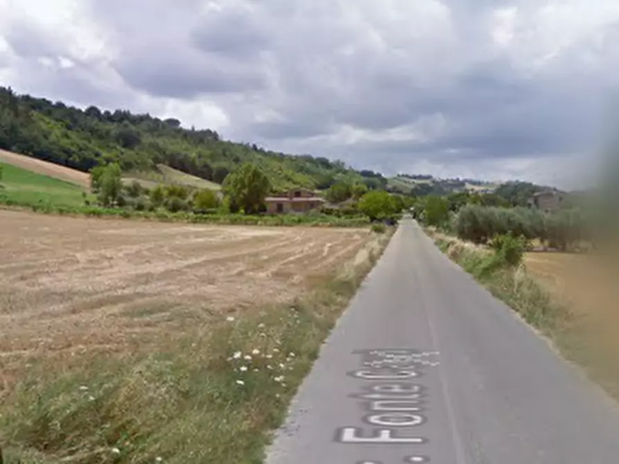 Immagine 4 di Appartamento in vendita  in Str. Fonte Carrà  a Grottazzolina