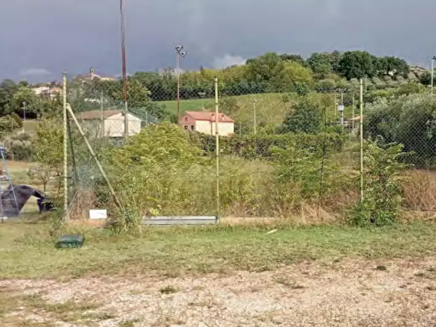 Immagine 1 di Terreno agricolo in vendita  in Str. Fonte Carrà a Grottazzolina