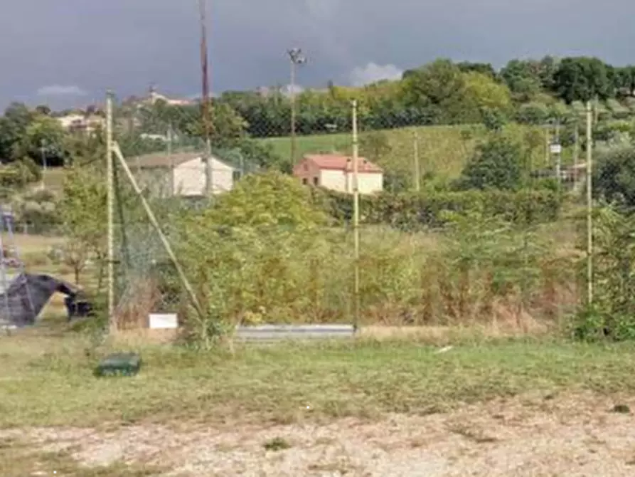 Immagine 2 di Terreno agricolo in vendita  in Str. Fonte Carrà a Grottazzolina