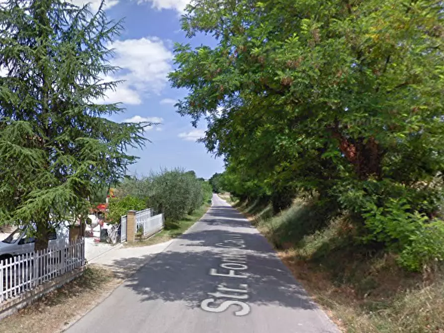 Immagine 9 di Terreno agricolo in vendita  in Str. Fonte Carrà a Grottazzolina