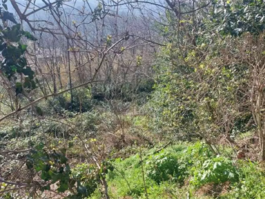 Immagine 1 di Terreno edificabile in vendita  in Via Serra a Vallefoglia