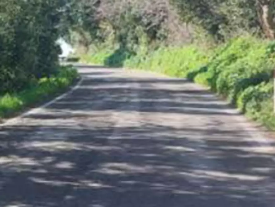 Immagine 10 di Terreno edificabile in vendita  in Via Serra a Vallefoglia