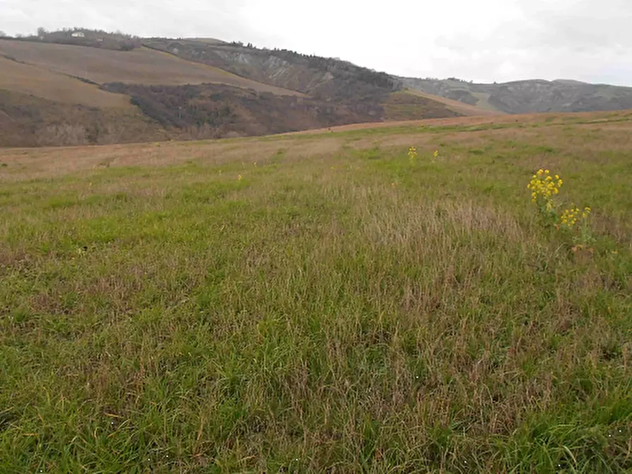 Immagine 1 di Terreno agricolo in vendita  in Via Seriole a Montecalvo In Foglia
