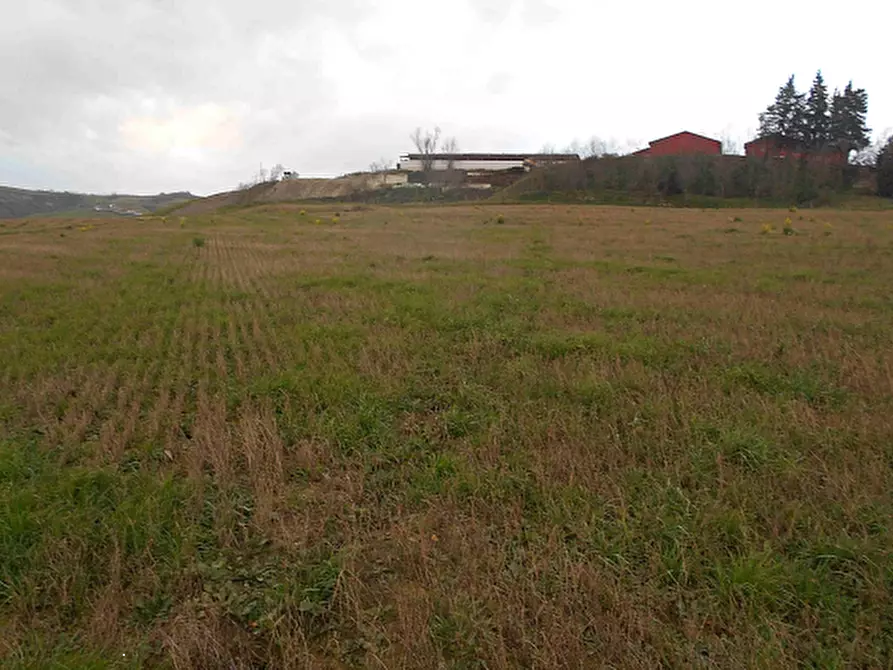 Immagine 4 di Terreno agricolo in vendita  in Via Seriole a Montecalvo In Foglia