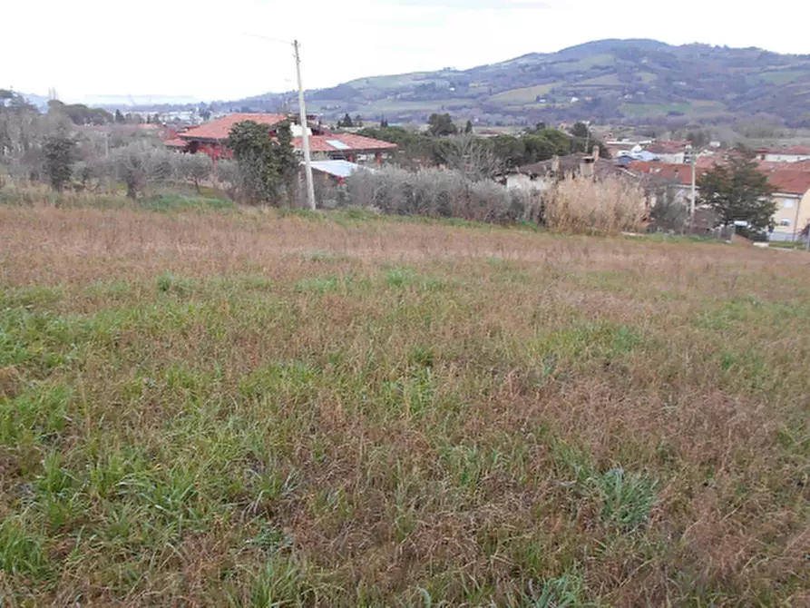 Immagine 12 di Terreno agricolo in vendita  in Via Seriole a Montecalvo In Foglia