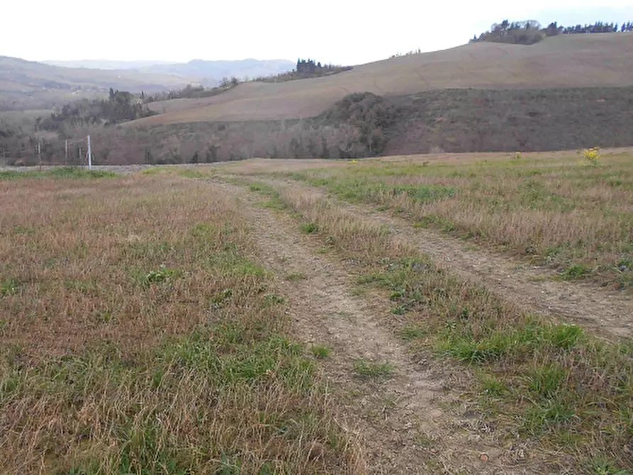 Immagine 13 di Terreno agricolo in vendita  in Via Seriole a Montecalvo In Foglia
