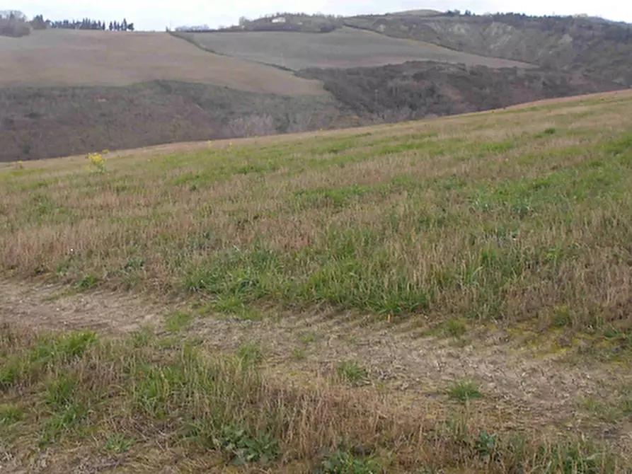 Immagine 14 di Terreno agricolo in vendita  in Via Seriole a Montecalvo In Foglia